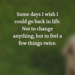 Meet your Posher, Joyce